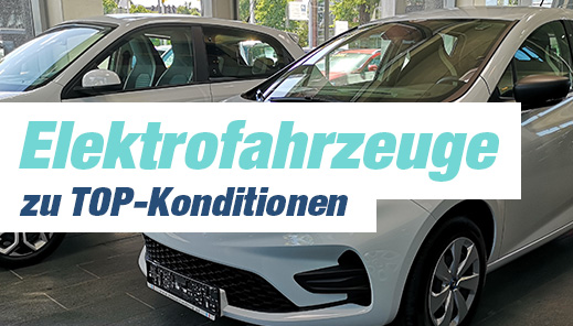 Alle Elektrofahrzeuge im Überblick zu besonders guten Konditionen