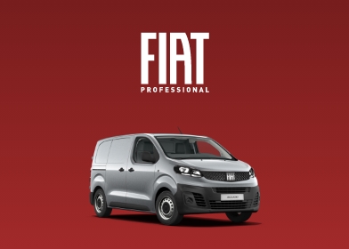 Fiat Transporter gebraucht kaufen