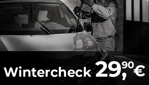 Wintercheck im Wert von 29,90 €